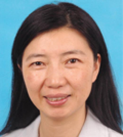 Prof. Lu Wang